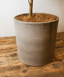 エバーフレッシュ